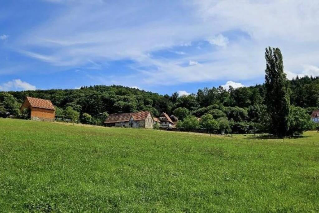 Corps De Ferme Traditionnel Lembach Exterior photo