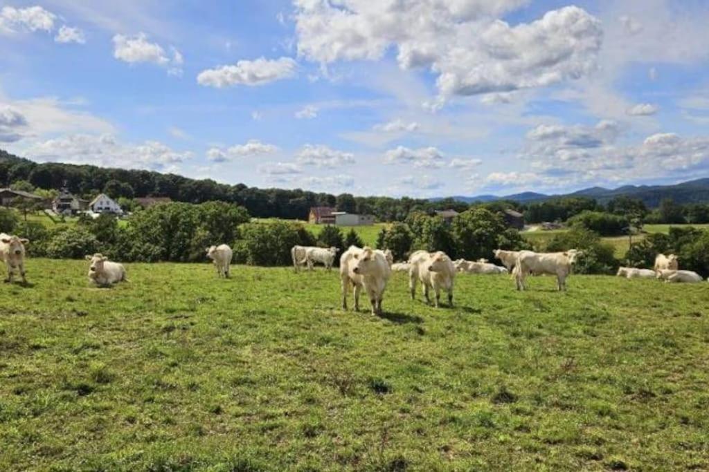 Corps De Ferme Traditionnel Lembach Exterior photo